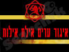 איגוד ערים אילת אילות