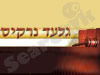 גלעד נרקיס