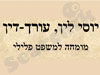יוסי לין