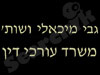 מיכאלי מרום ושות' 