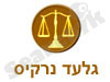 גלעד נרקיס