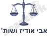 אבי אודיז