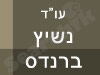 נשיץ ברנדס