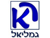 משרד עורכי-הדין ר.א.גמליאל