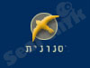 סנונית 