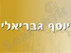 יוסף גבריאלי