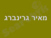 מאיר גרינברג