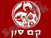 קם סון