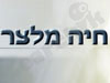 חיה מלצר 