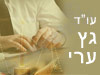 גץ ערי 