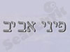 פיני אביב 