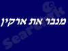 מנבר את ארקין 