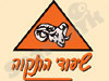 שיפודי התקווה-הרצליה 