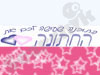 תוכנת החתונה