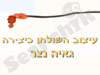 גאיה נצר