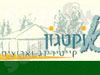 אוקטגון