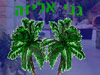 גני אליזה