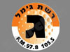 רשת ג'