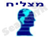 מצליח 