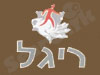 ריגל