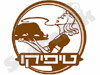 טיפיקו עוף