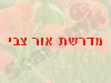 מדרשת אור צבי 