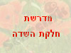 מדרשת חלקת השדה 