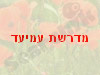 מדרשת עמיעד