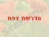 מדרשת צפת 