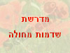 מדרשת שדמות מחולה 