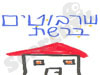 שרבוטים ברשת