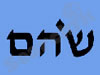 שהם השמה ומיון