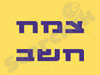 צמח חשב 