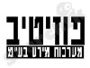 פוזיטיב מערכות מידע 