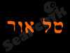טל אור