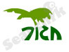 חגור