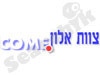צוות אלון