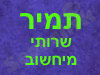 תמיר שרותי מיחשוב 