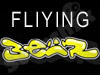 fliying bear