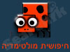 חיפושית מולטימדיה 
