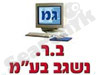 נשגב