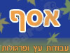 אסף עבודות עץ ופרגולות