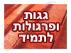 גג חן 
