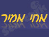 אחי אמיר
