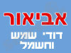 אביאור דודי שמש וחשמל