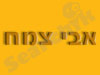 אבי צמח 