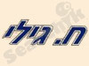 ח. גילי