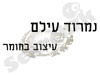 נמרוד עילם 