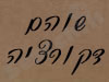 שוהם דקורציה
