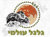 גלגל עולמי 